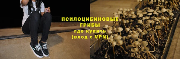 spice Бугульма