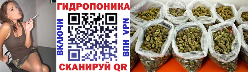 Бошки марихуана марихуана  Семёнов 